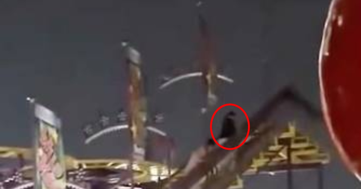 “Als er één af valt, dan is die morsdood”: passanten klimmen op kermisattractie in Gent