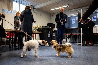 Zo stemde Schouwen-Duiveland: meeste kiezers voor PVV, maar deze partij won in meer stembureaus