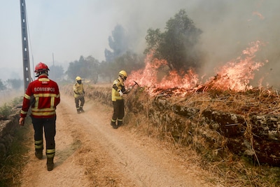 Hoogste alarmfase in Portugal: vrees voor nieuwe bosbranden door extreme hitte (44 graden)
