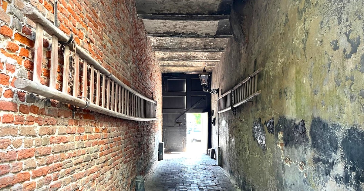 Mysterie opgelost: hiervoor zijn de enorm lange trappen in de Kuiperspoort