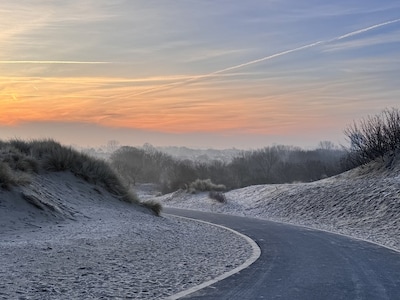Schouwen-Duiveland moet diep in buidel tasten: zonder opknapbeurt fietspad kiezen recreanten voor de auto