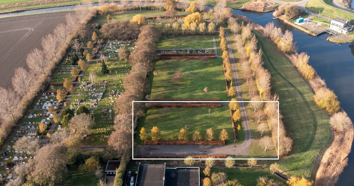 Hooguit een boomschijf op je graf: natuurlijk begraven is vanaf nu mogelijk op Noord-Beveland
