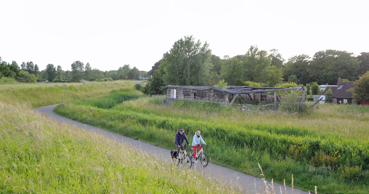 Eeuwenoude Napoleonschuur in Scharendijke verpaupert, terwijl plan voor herstel vastloopt: ‘Gemeente