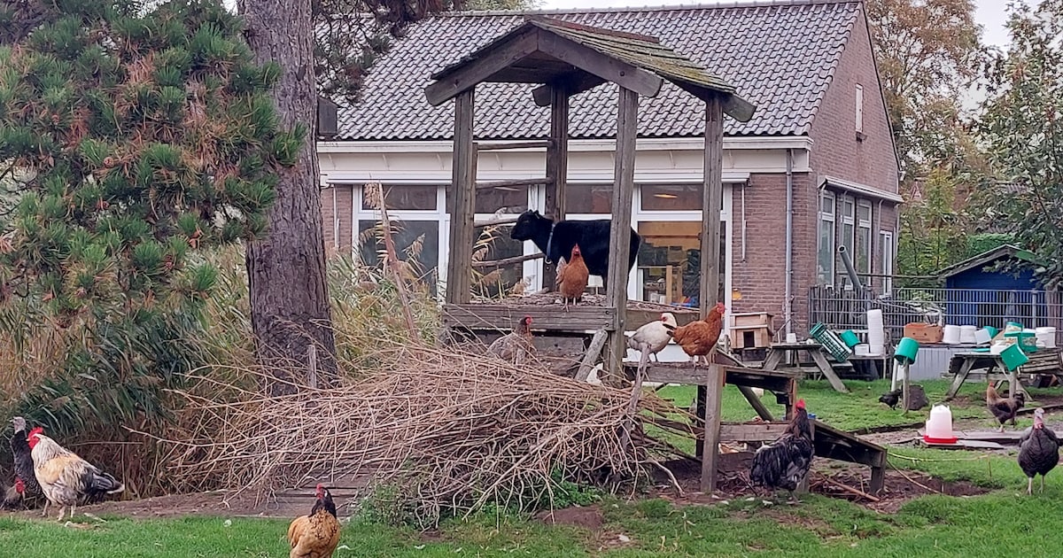 Informatieavond over sloop oude school in Kortgene