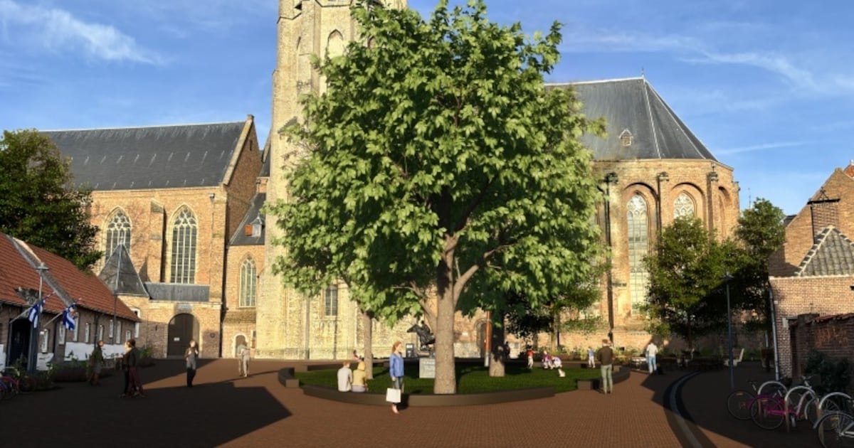 Plan met pleinen en straten rond de Lange Jan: Minder auto’s en meer groen