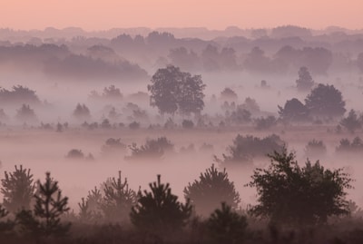 Nevel, grondmist en opklaringen op Tholen in de ochtend
