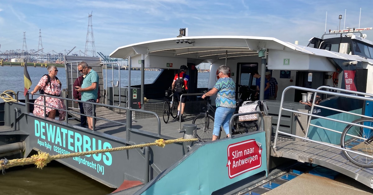 ‘Van Lillo komen’ en er naartoe gaan met de waterbus | Regio | PZC.nl