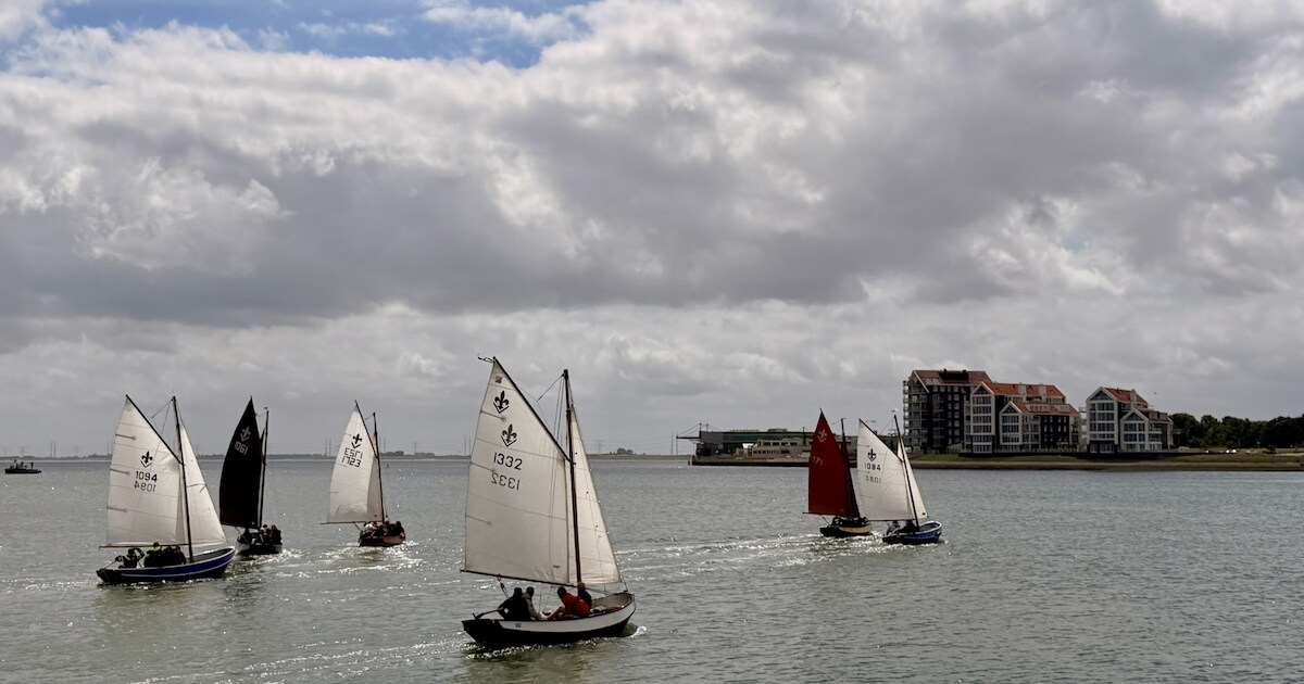 Dertig lelievletjes zeilden vijf rondes om de strijd om de Oosterscheldebeker, maar slechts één kon 
