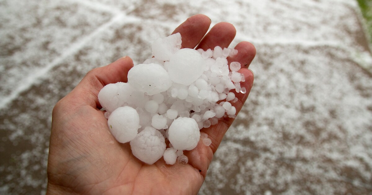 Fors minder schade in Reimerswaal door noodweer vorig jaar, schadebedrag door hagel voor het eerst s