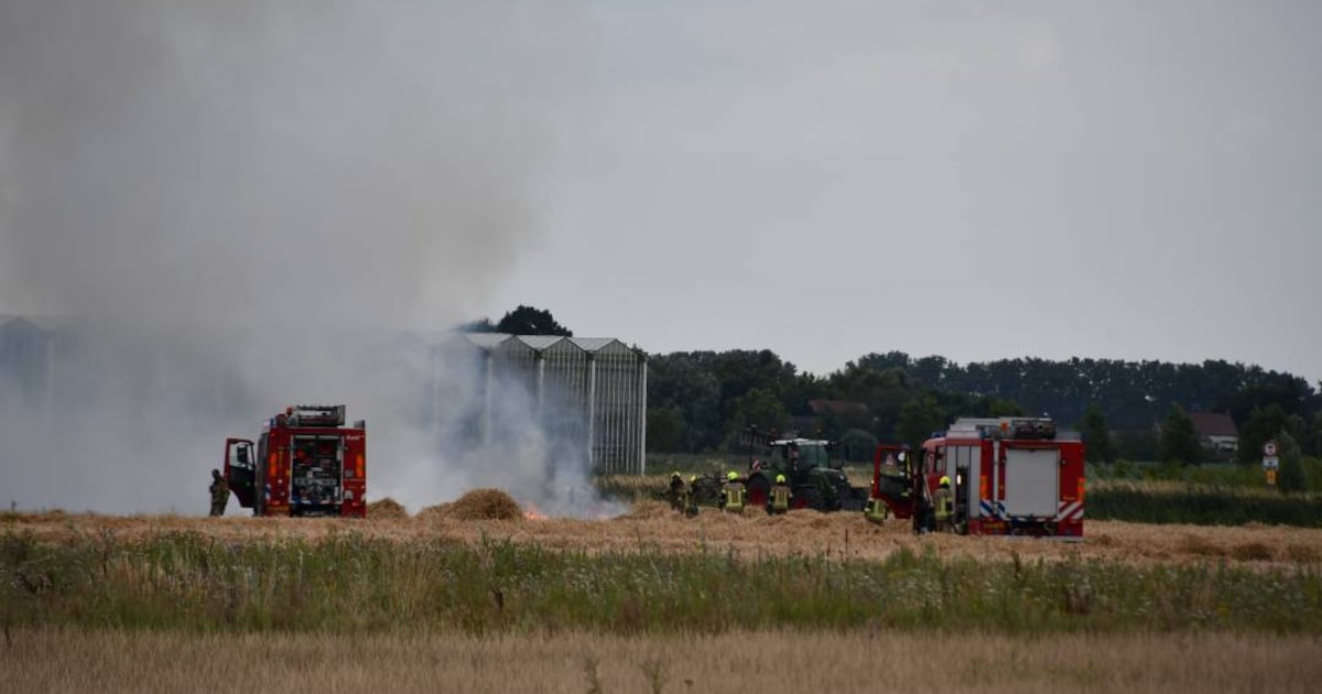 Ruim 6.000 vierkante meter akker in brand in Westdorpe