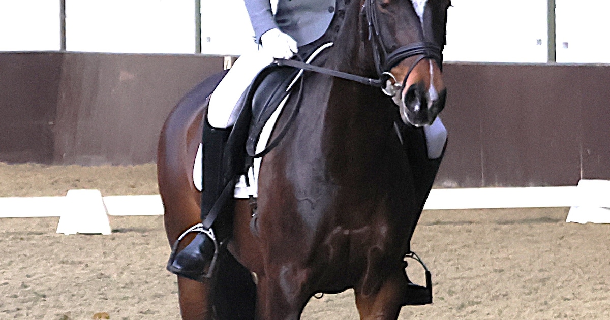 Danisha de Visser debuteert sterk met de merrie Olaya H: ‘Een werkwillig paard met een superkarakter