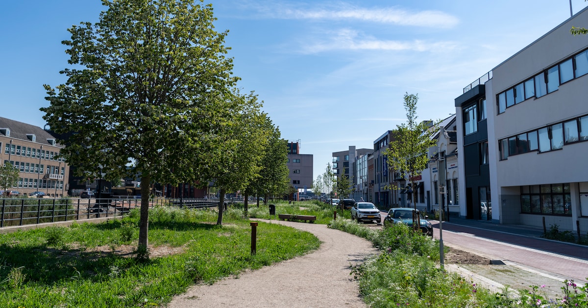 Vernieuwde entree binnenstad Terneuzen geopend: ‘Boven verwachting mooi geworden’