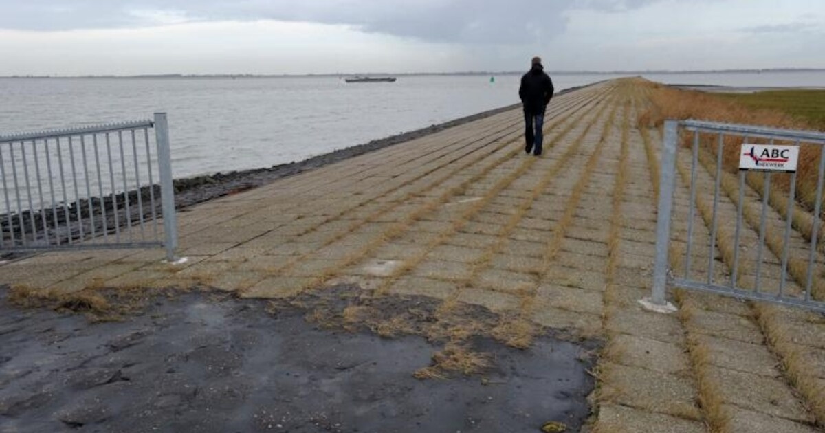 Vogelbescherming slaat terug over gesloten dijk Ossenisse