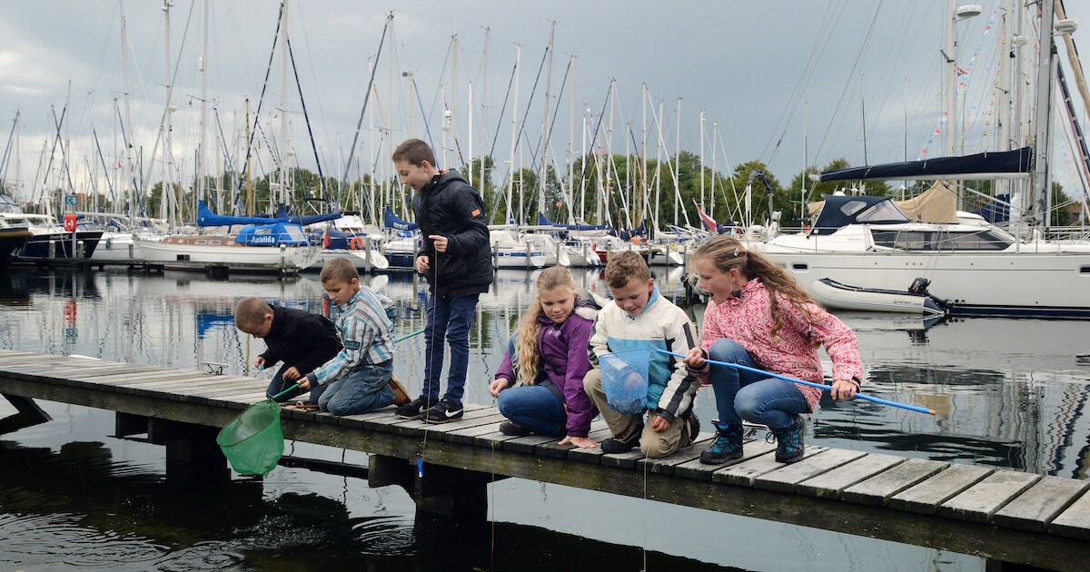 Dolfijntjes hopen op nieuwe leden bij open dag Scouting Brouwershaven