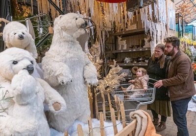Kerstbomen sjouwen in je zomerjas: 'Ik kijk mijn ogen uit hier'