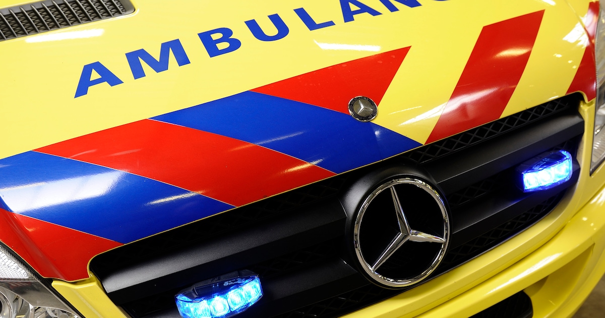 Hond ingeslapen na bijtactie in Meliskerke