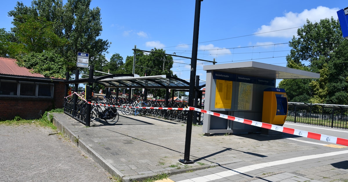 Treinverkeer weer hervat na urenlange stremming door aanrijding bij Arnemuiden