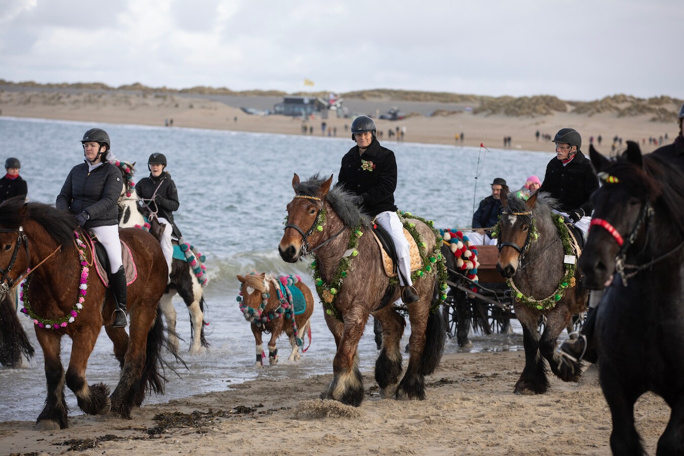 Paarden wassen de benen en het publiek viert het naderende voorjaar: de ...