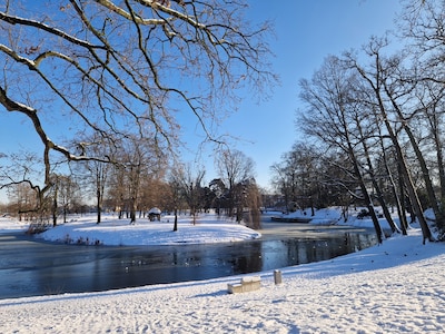 Wow! Sneeuw tovert Bergen op Zoom om tot winterwonderland