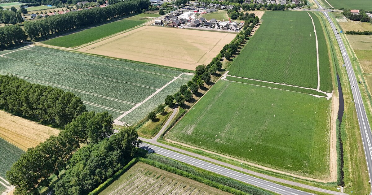 Inwoners Heinkenszand denken enthousiast mee over inrichting van groot nieuw park