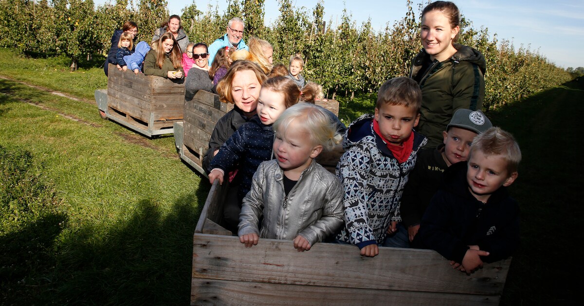 Peuters vinden bij fruitteler in Vogelwaarde de appel van Sneeuwwitje niet